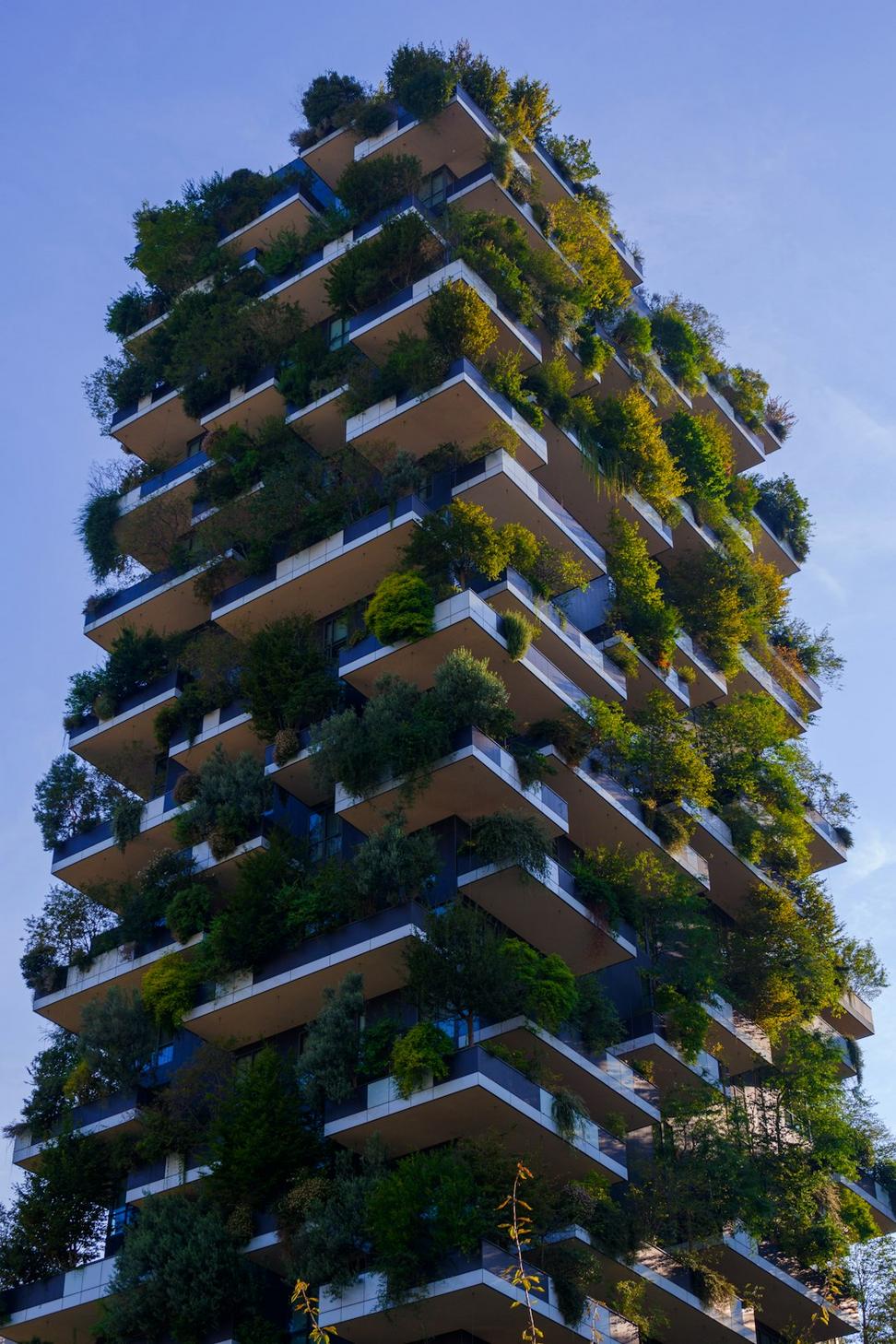 Westwood Passive House