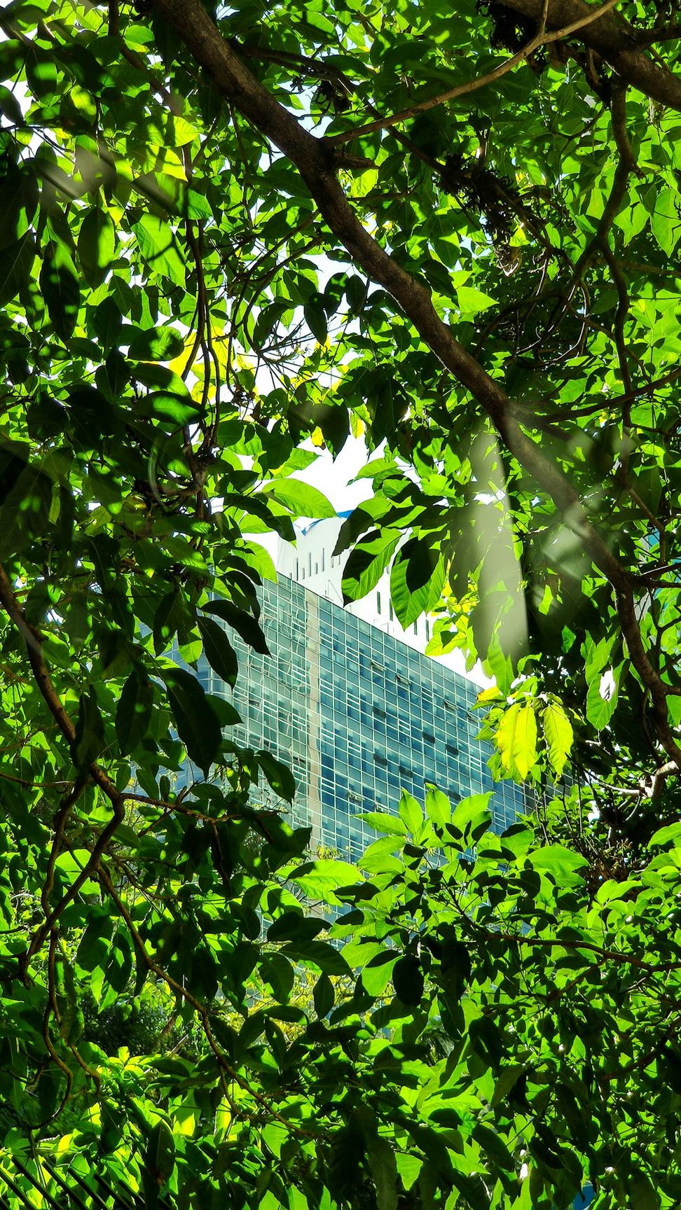 Pacific Innovation Centre